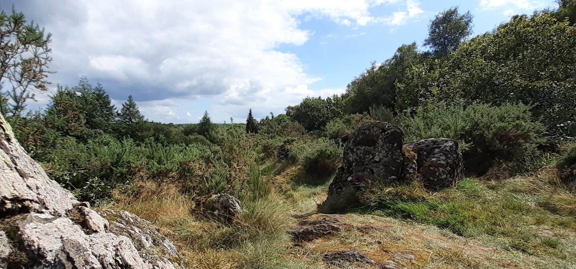 Gite La Lisiere, En Broceliande Neant-sur-Yvel Luaran gambar