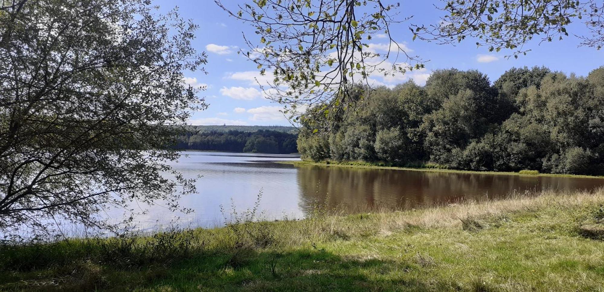 Gite La Lisiere, En Broceliande Neant-sur-Yvel Luaran gambar