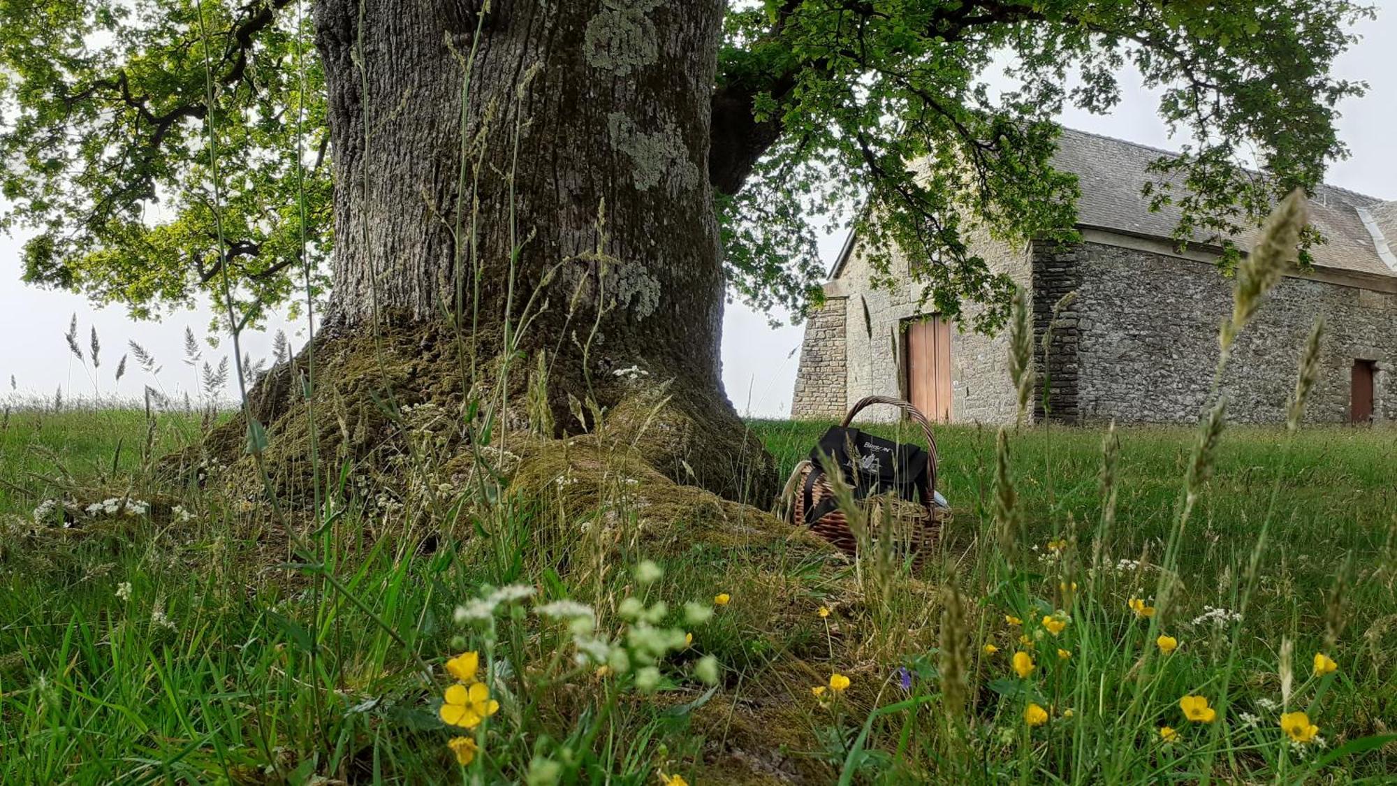 Gite La Lisiere, En Broceliande Neant-sur-Yvel Luaran gambar