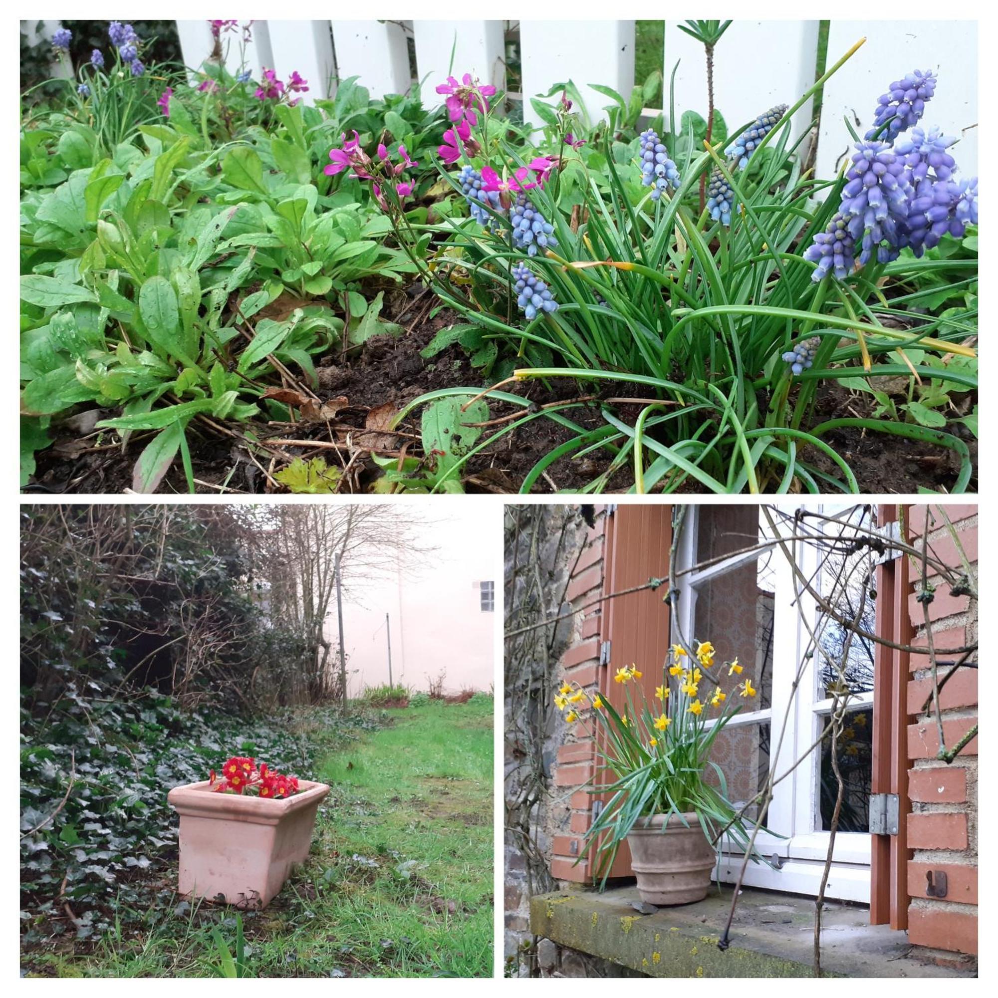 Gite La Lisiere, En Broceliande Neant-sur-Yvel Luaran gambar