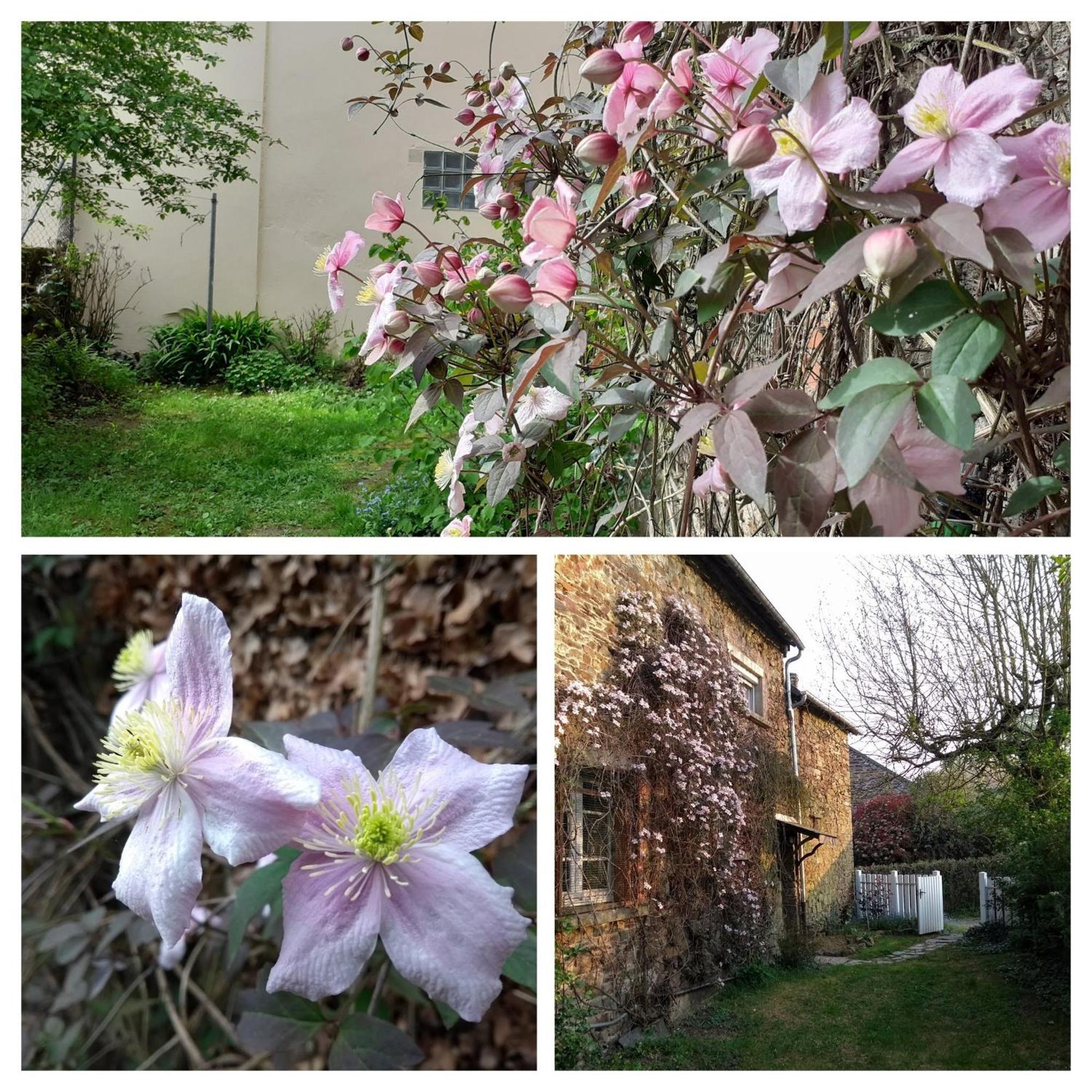 Gite La Lisiere, En Broceliande Neant-sur-Yvel Luaran gambar